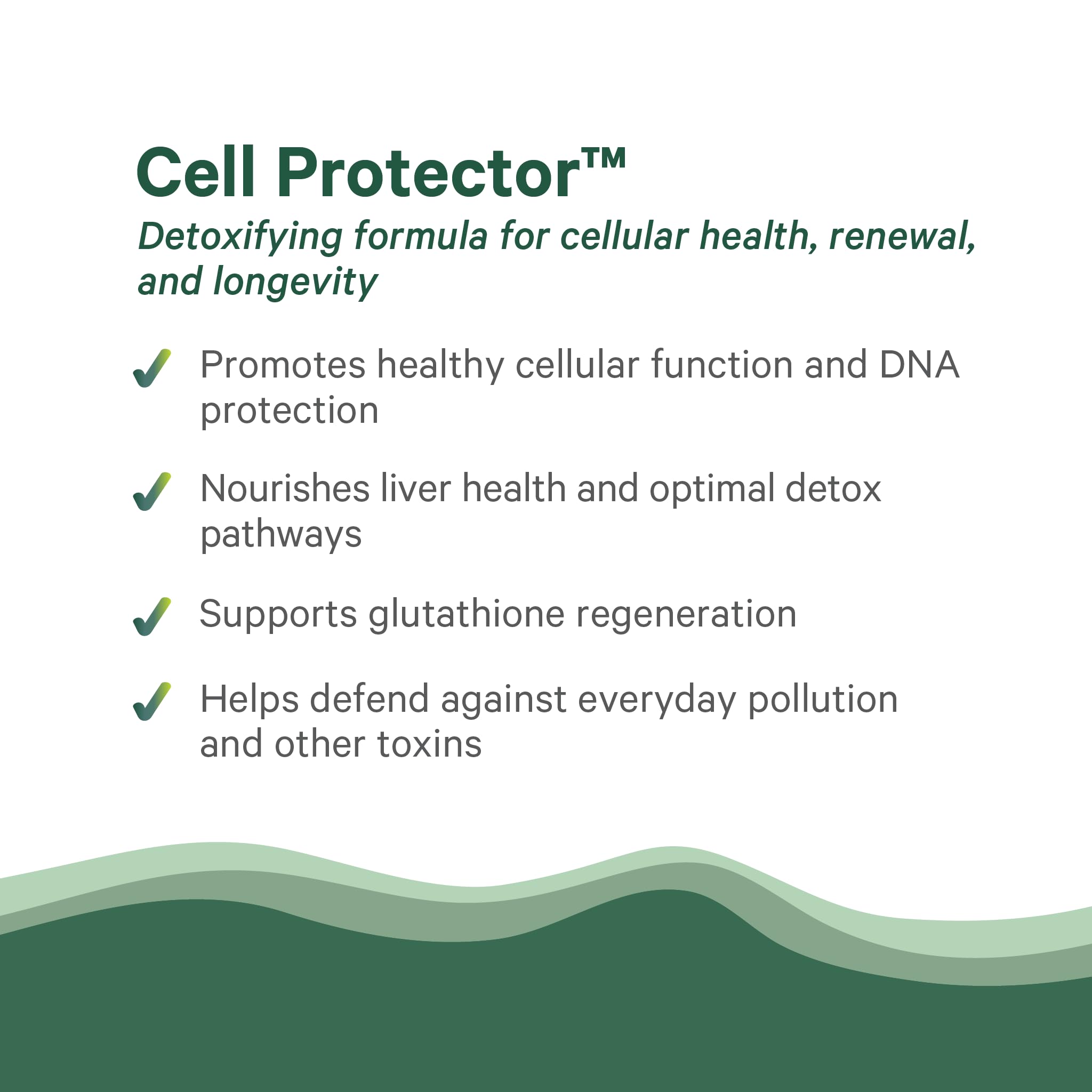 PURE SYNERGY Cell Protector key ingredients illustrate diverse cellular nourishment.