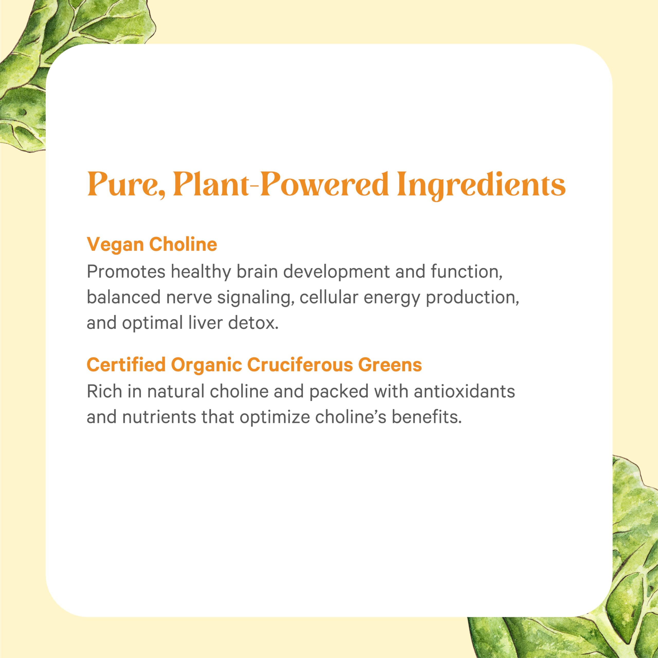 Fermented choline focus from Pure Synergy emphasizes bioavailability and natural nutrition.