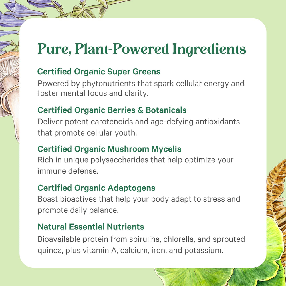 Pure Synergy daily-use spoon suggests simple, sustainable routine for wellness.