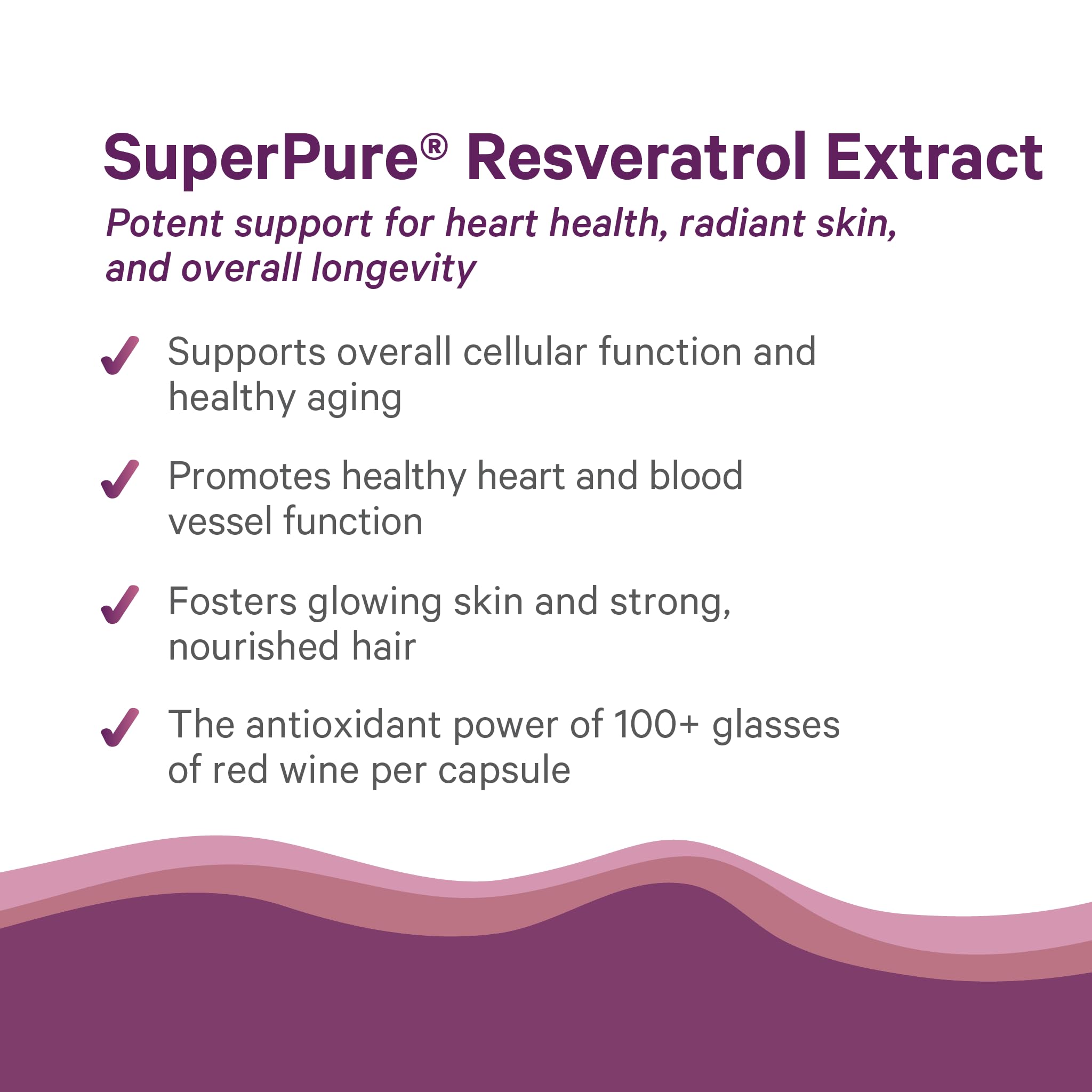 Japanese knotweed plant, source of trans-resveratrol in Pure Synergy formula