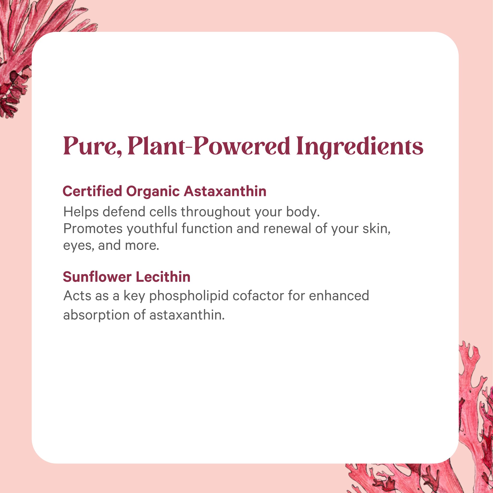 PURE SYNERGY SuperPure sourced from Haematococcus algae, highlighting natural origin.