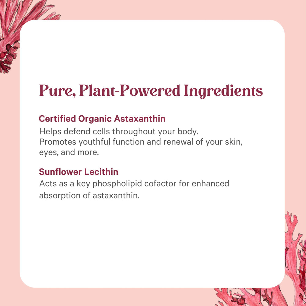 PURE SYNERGY SuperPure sourced from Haematococcus algae, highlighting natural origin.