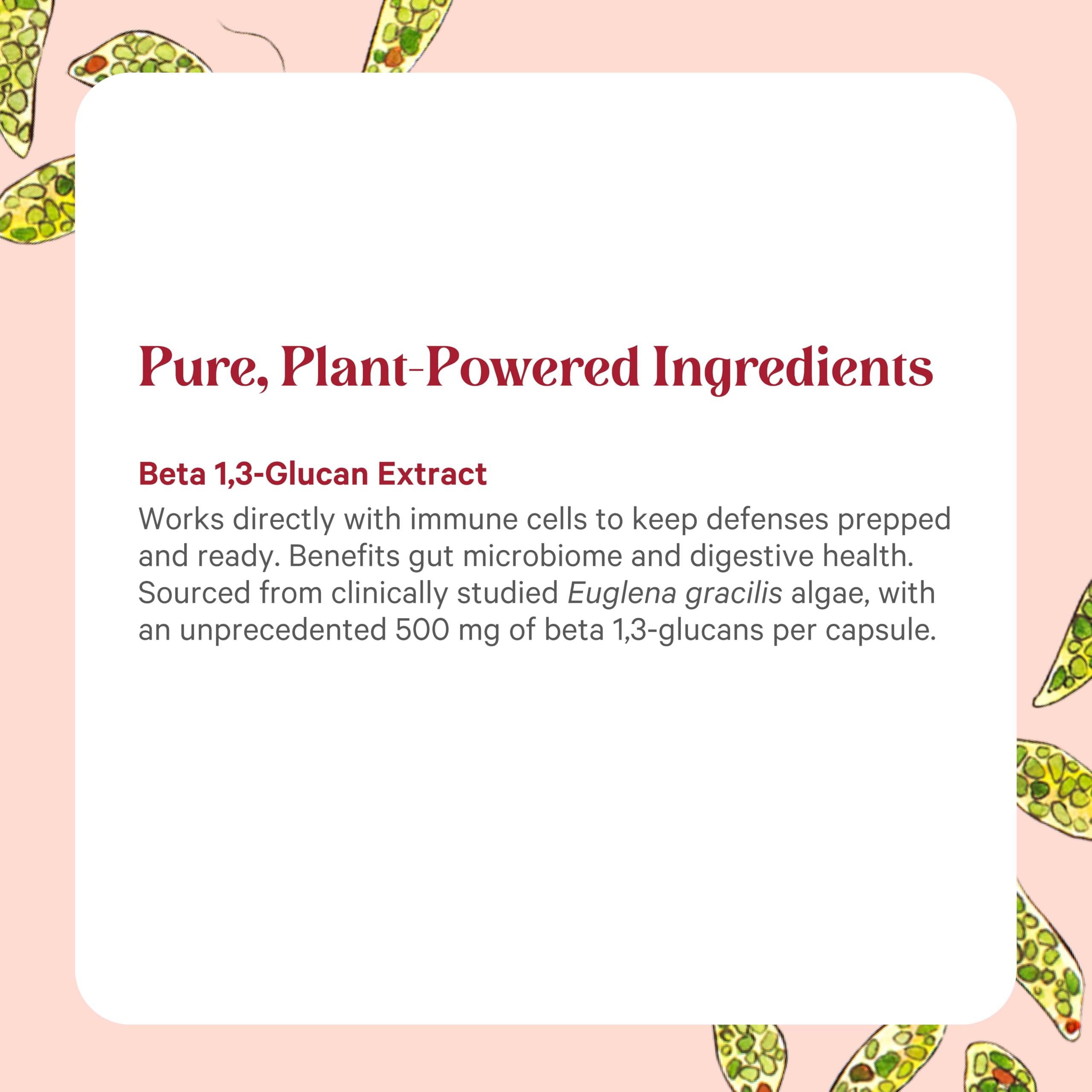 PURE SYNERGY SuperPure capsule pour suggests simple daily dosing.