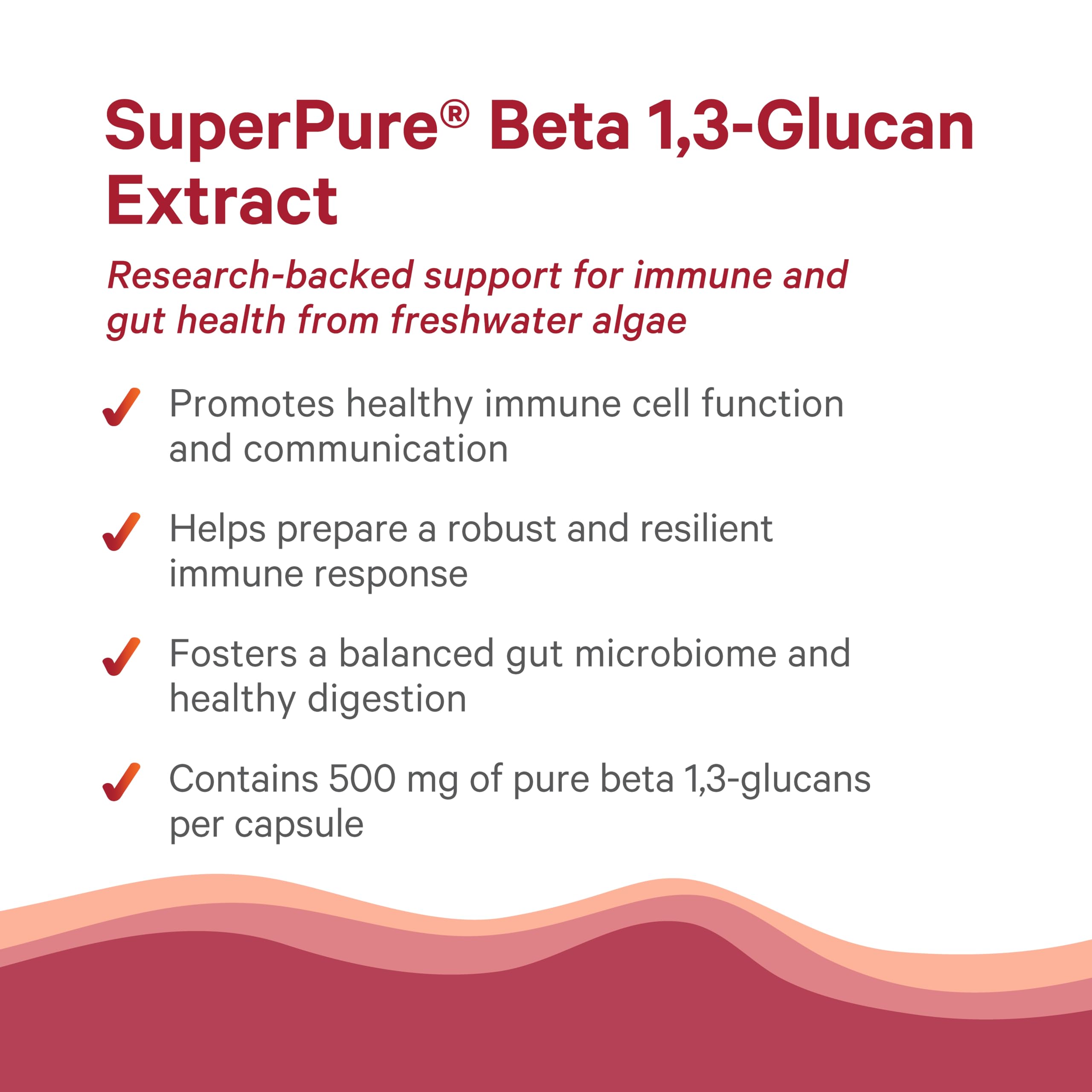 PURE SYNERGY SuperPure Euglena gracilis glucan ingredient closeup.
