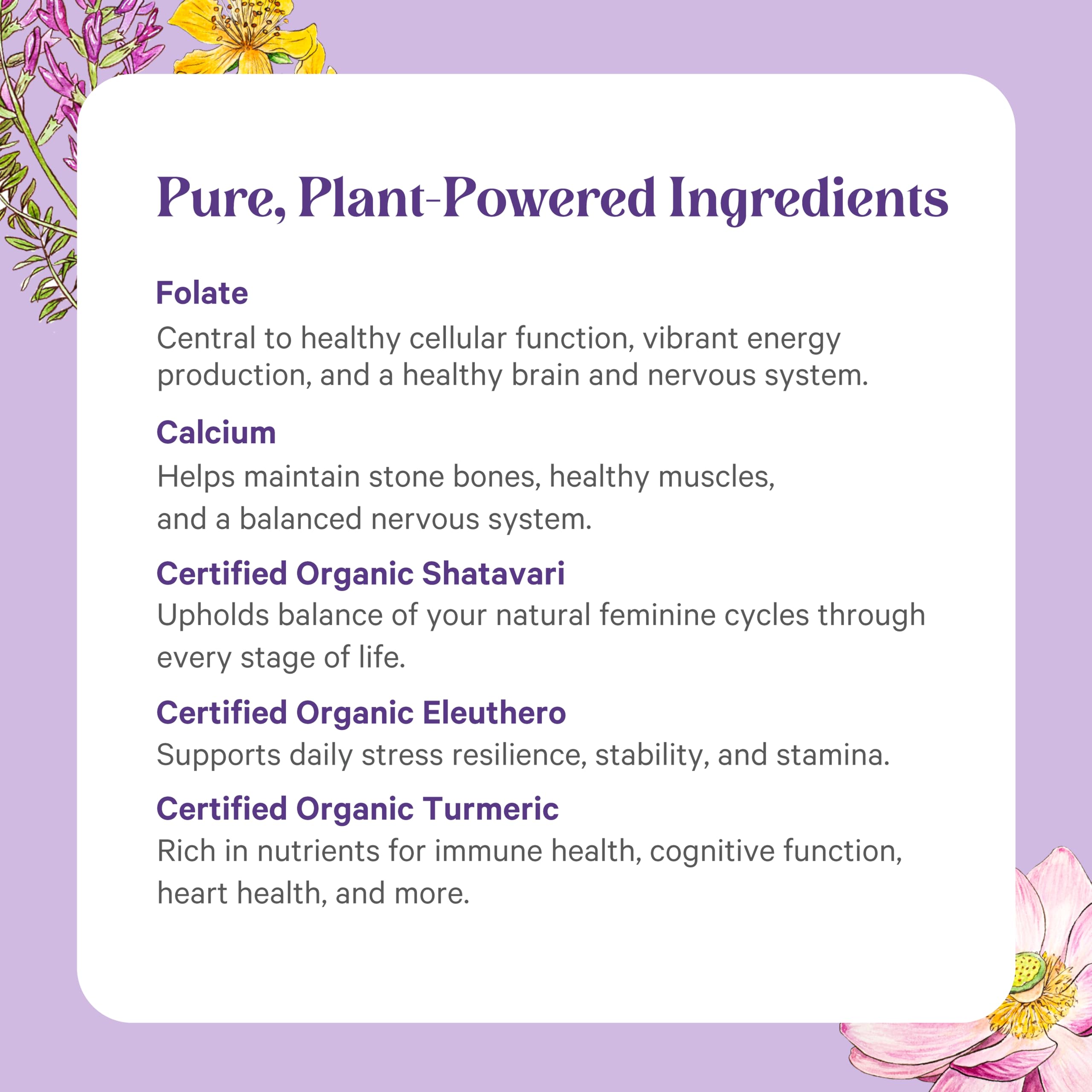 Pure Synergy Vita-Min-Herb Women daily-use bottle in kitchen setting