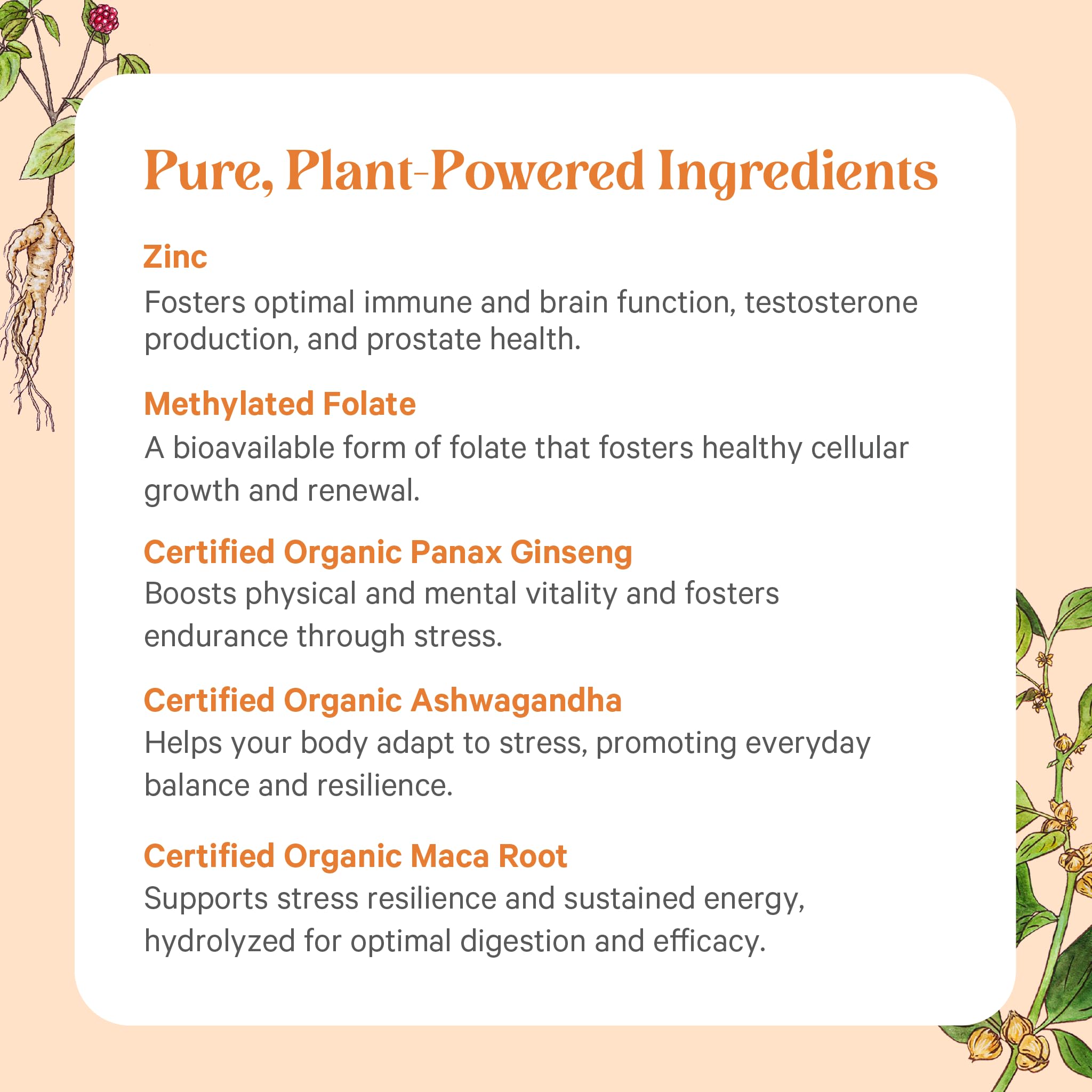 Pure Synergy Vita-Min-Vitality box packaging emphasizes clean design and sustainability.