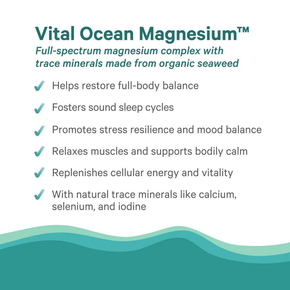 Organic ocean-sourced ingredients visualizing daily nourishment and natural minerals.
