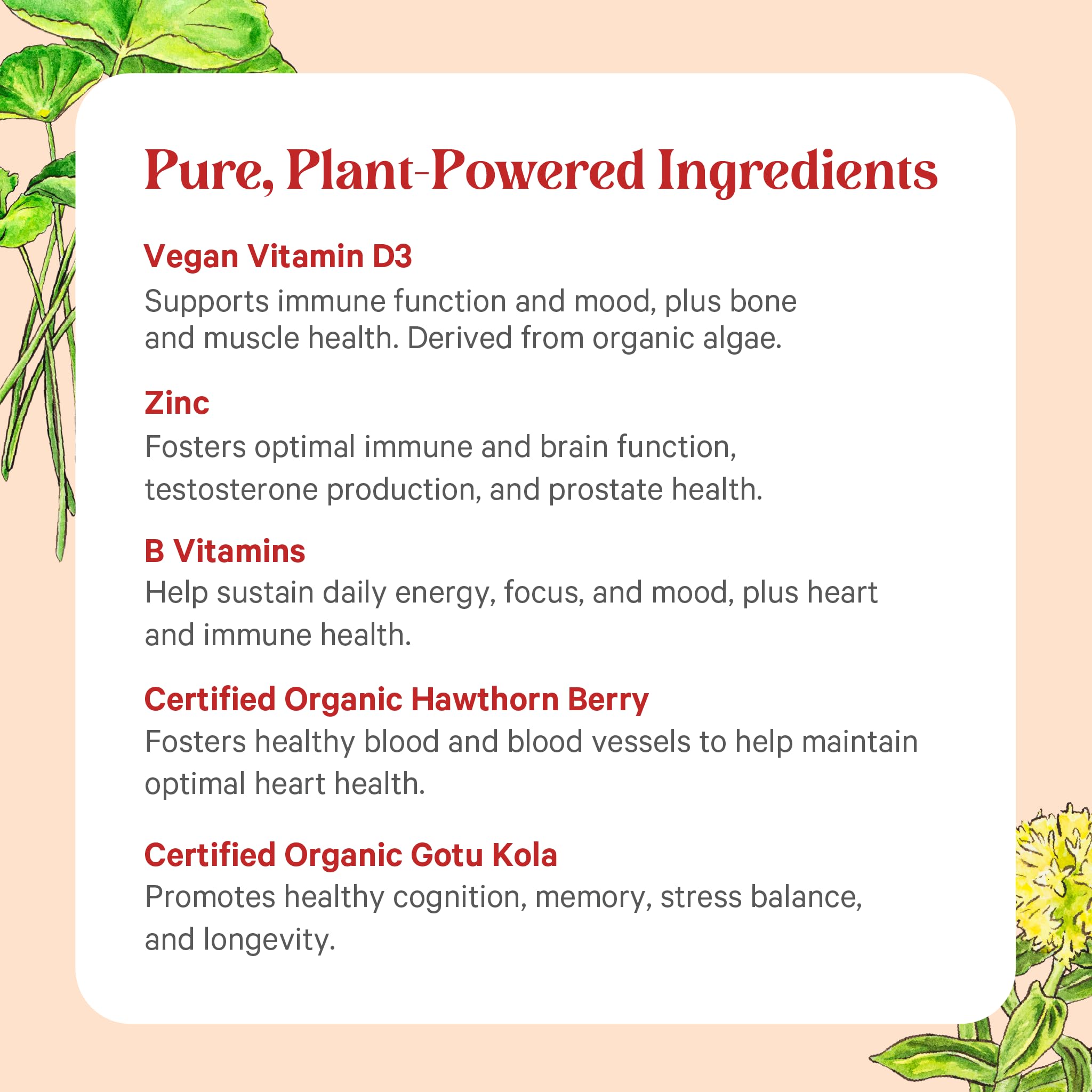 Pure Synergy Vita-Min-Herb for Men bottle with ingredients spread, emphasizing vegan and clean-label quality