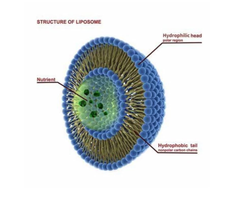 Pure Therapro Rx serving guide helps consistent daily intake.
