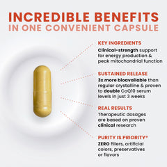 Pure Therapro Rx sustained-release graphic showing longer nutrient availability