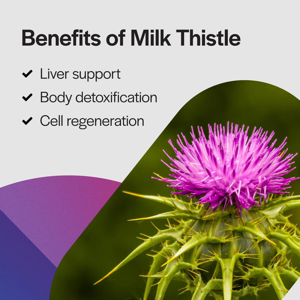 PureFormulas Milk Thistle Supreme packaging and 60-count count emphasize value and antioxidant potential