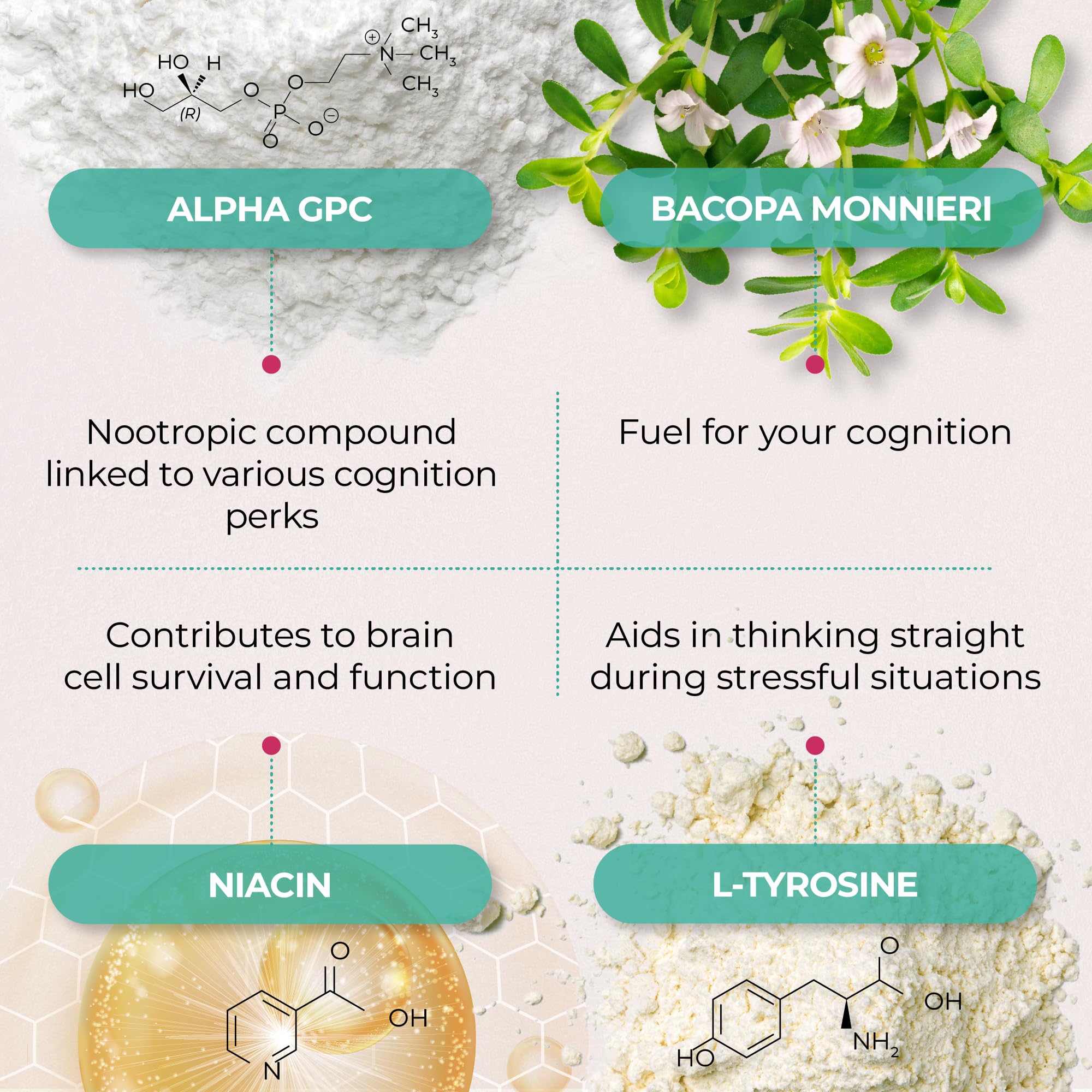 PUREHEALTH RESEARCH Ageless Brain bottle label highlights nootropic ingredients
