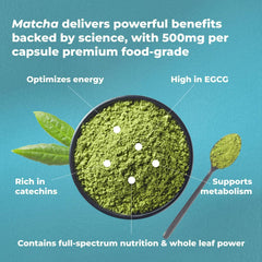 PUREHEALTH RESEARCH Matcha capsules showcase EGCG antioxidants for daily balance.