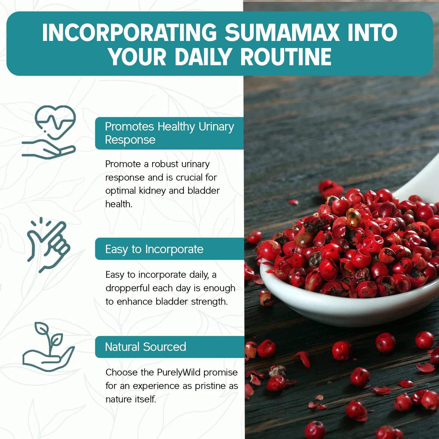 Purely Wild SumaMax cranberry extract emphasizes berry-derived urinary support.