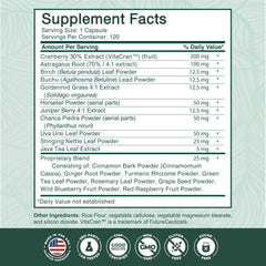 PurePremium Astragalus root conveys herbal synergy for kidney health.