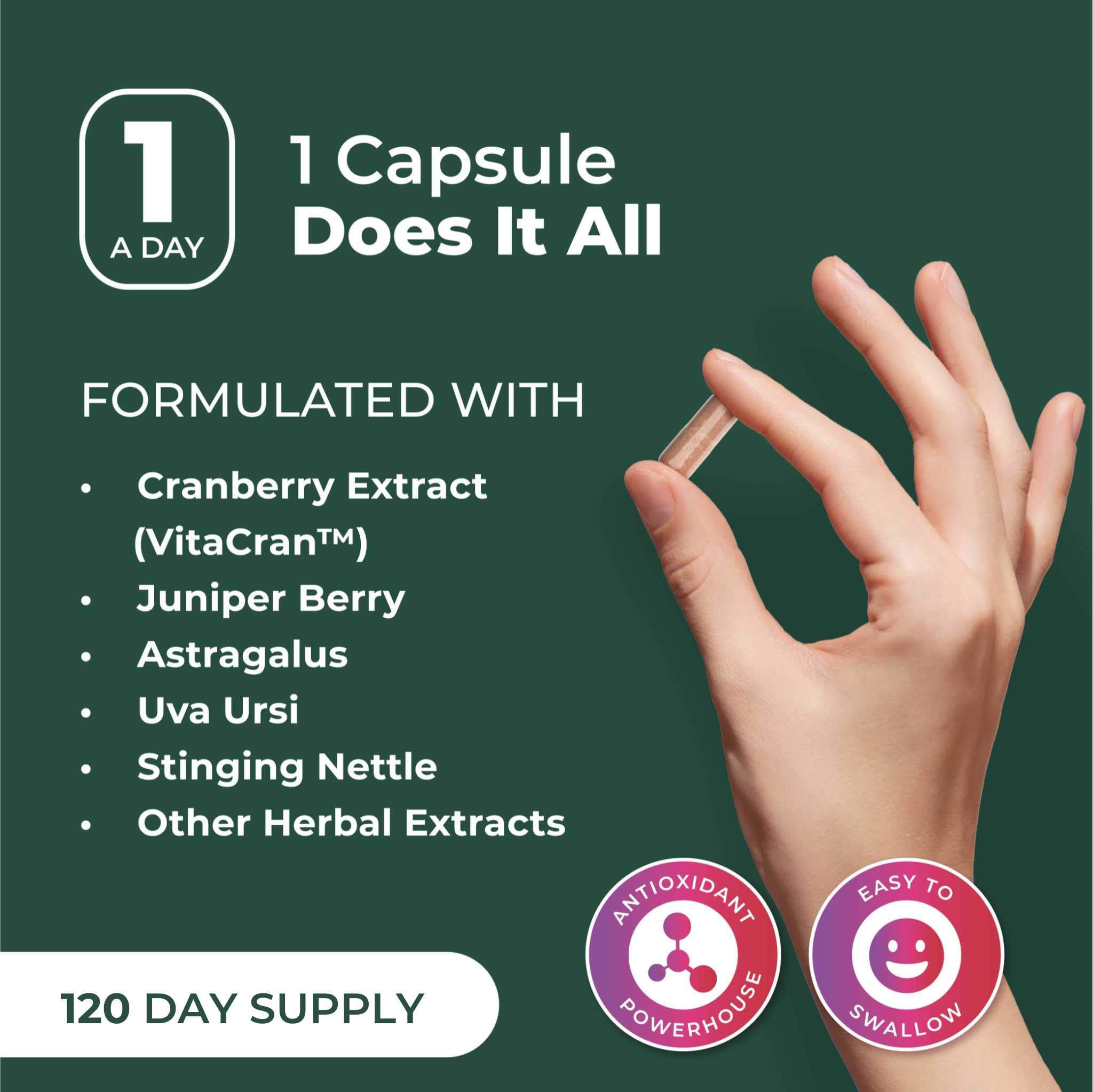 PurePremium Gravel Root and Birch Leaf powder visuals showcase natural detox support.