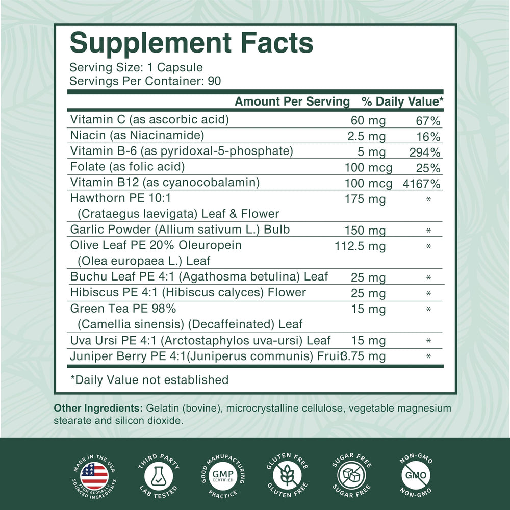 PurePremium olive leaf detail showcasing herbal blend for wellness