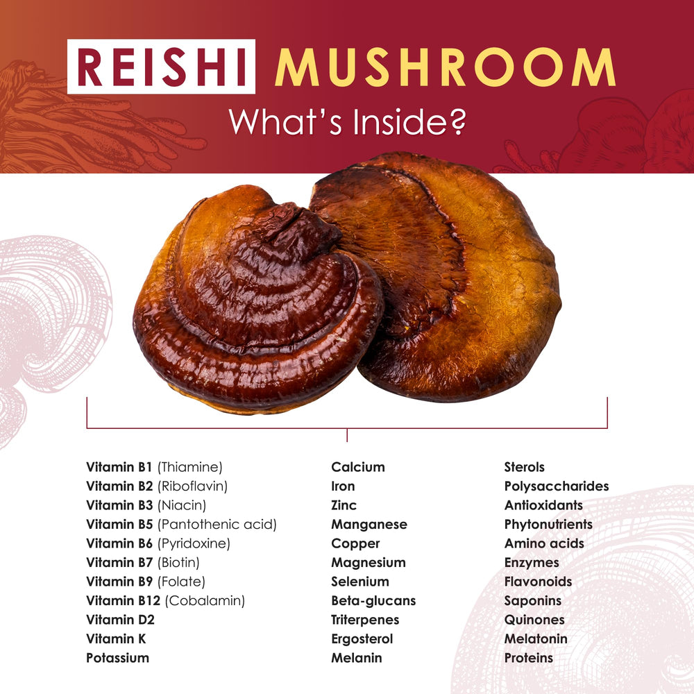 Hardwood log growth scene highlighting Purest Mushrooms Reishi cultivation.