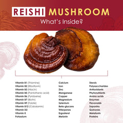 Hardwood log growth scene highlighting Purest Mushrooms Reishi cultivation.