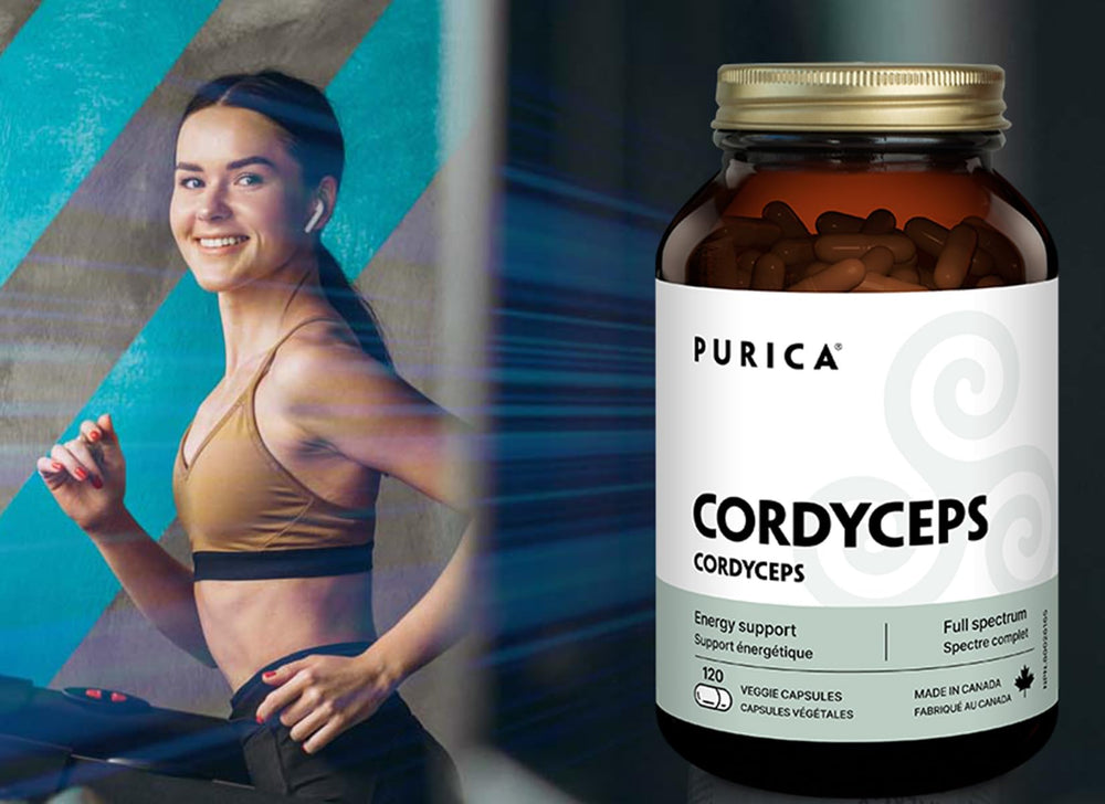 PURICA Cordyceps bottle on desk with cup suggesting daily routine