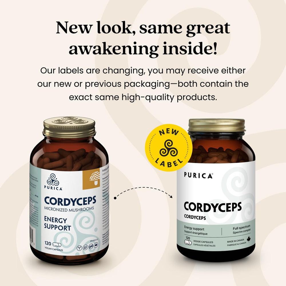 PURICA Cordyceps daily-dose guide suggesting routine