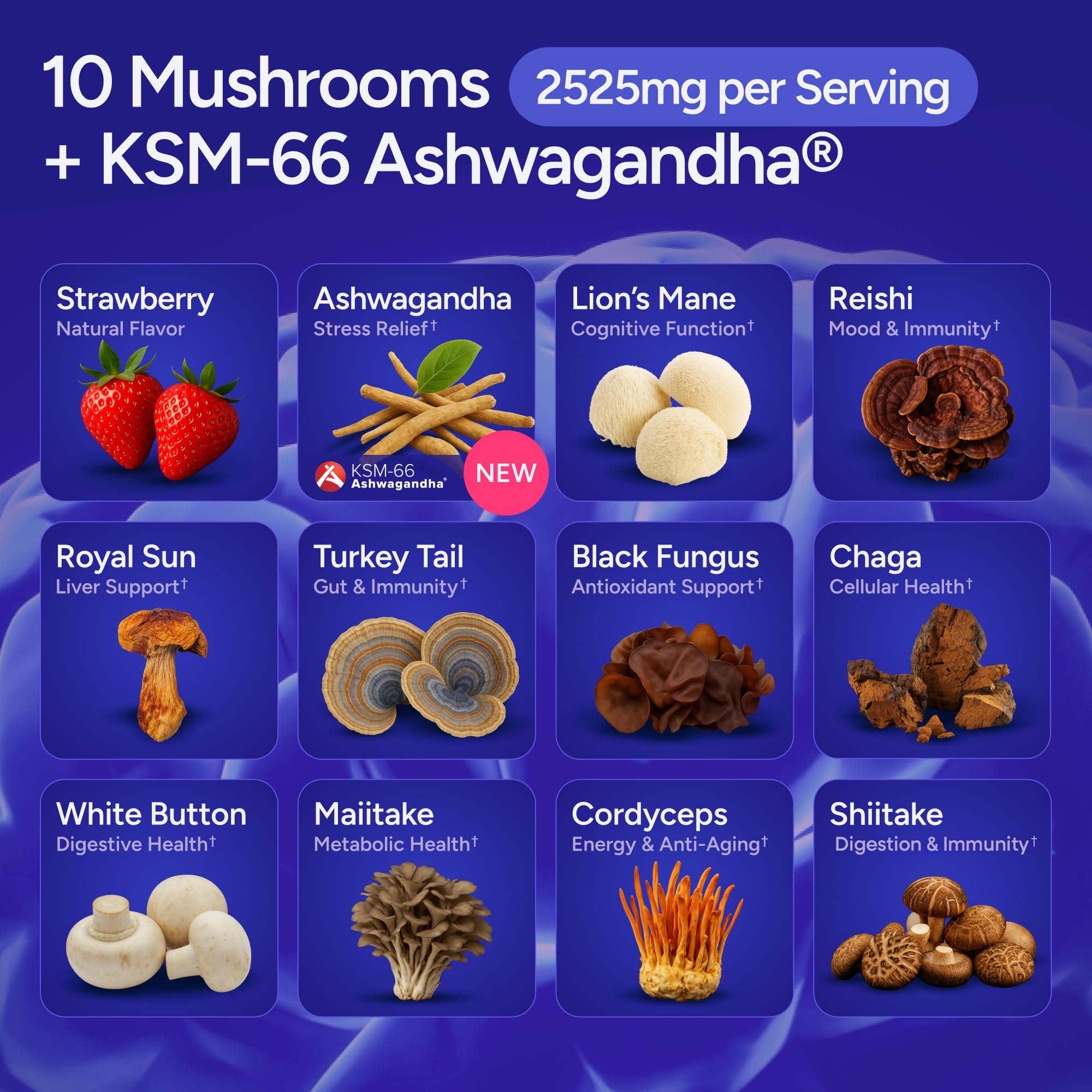 Purify Life Sugar-Free Mushroom Gummies Chaga close-up suggests immune-friendly potential.