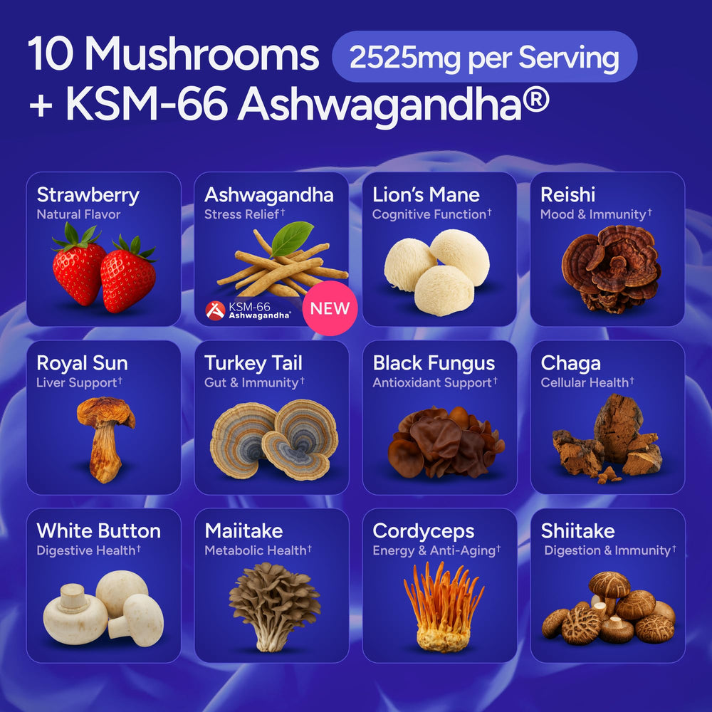Purify Life Sugar-Free Mushroom Gummies Chaga close-up suggests immune-friendly potential.
