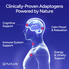 Purify Life Sugar-Free Mushroom Gummies ingredients close-up shows 10-mushroom fusion.