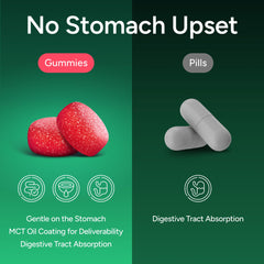 Purify Life watermelon-flavor gummy jar on counter highlights sugar-free daily routine.