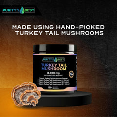 Purity’s Best Turkey Tail capsules closeup highlighting vegan capsules for gut health
