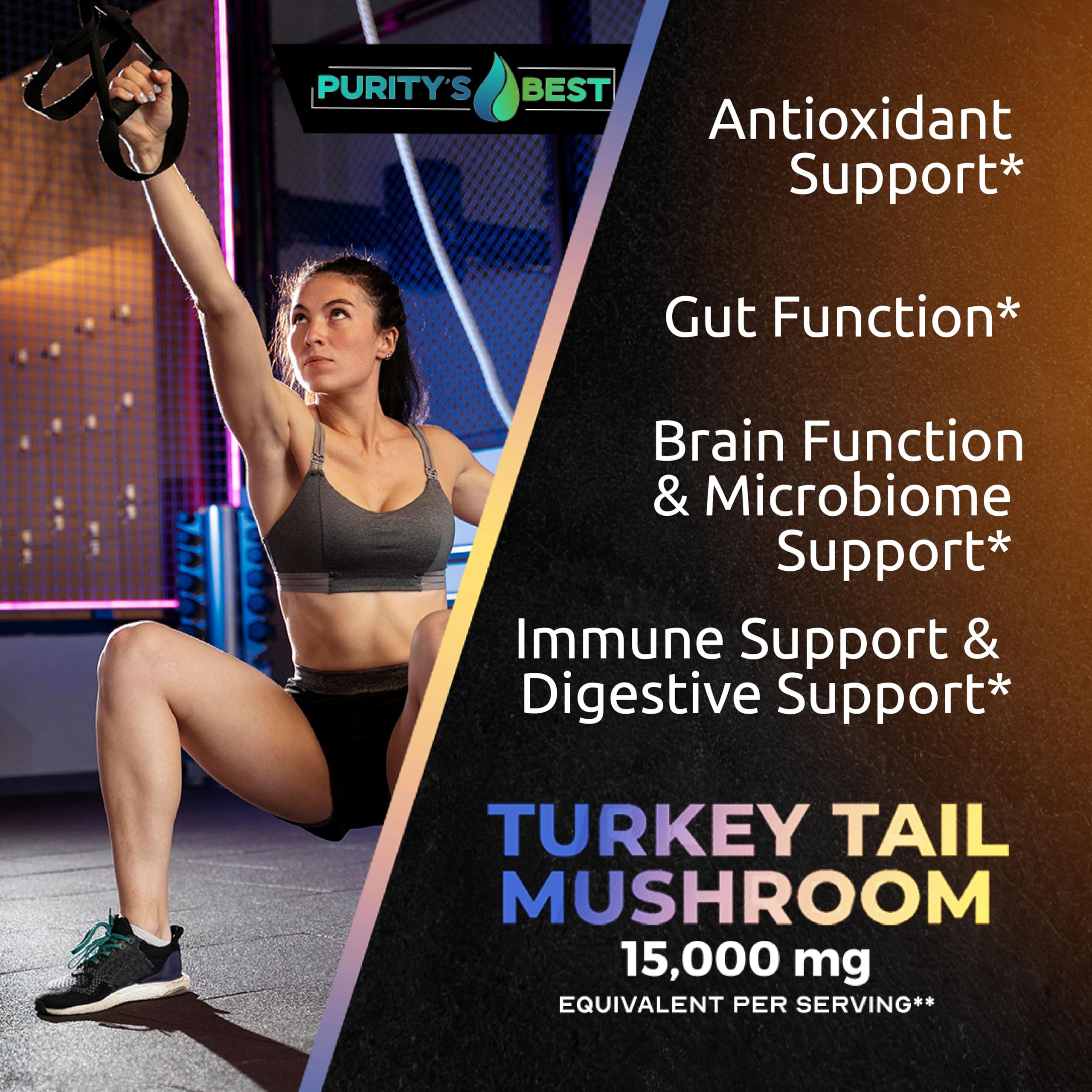 Purity’s Best Turkey Tail extract depiction suggesting GMP quality