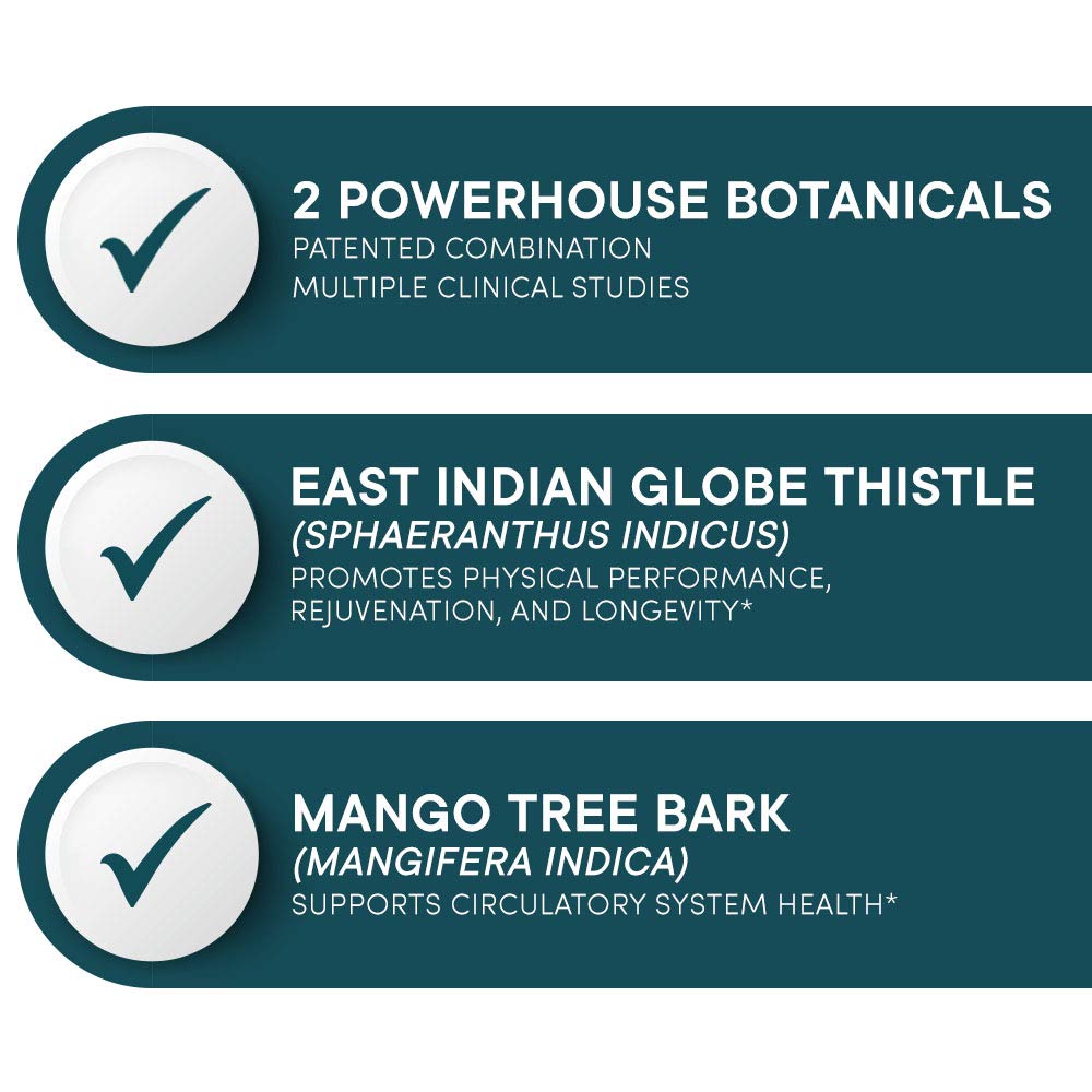 Purity Products Muscle Accelerator blend container shows East Indian Globe Thistle and Mango Tree Bark