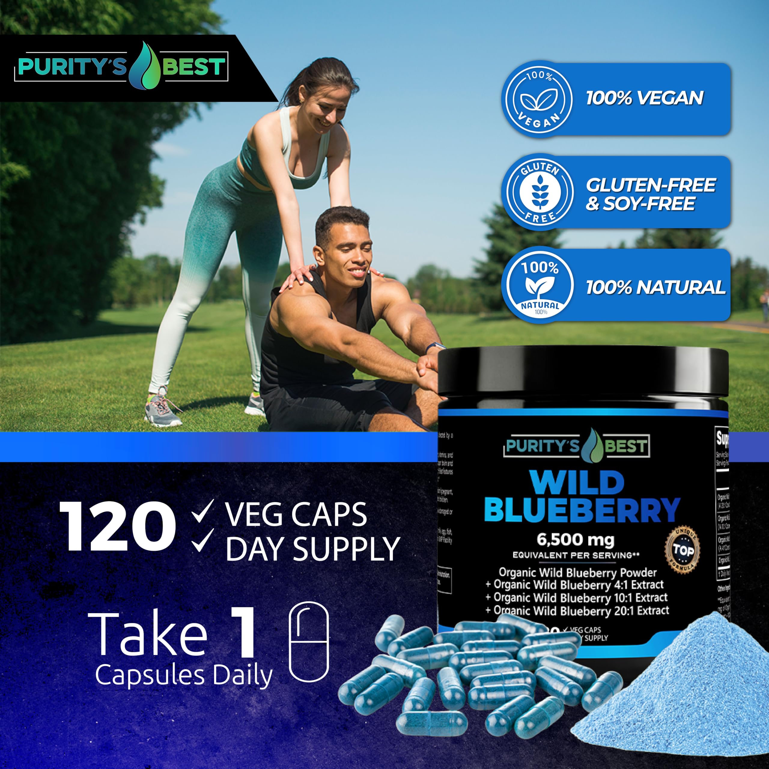 Purity’s Best Wild Blueberry Extract ingredients highlight rich flavonoids for brain benefits.