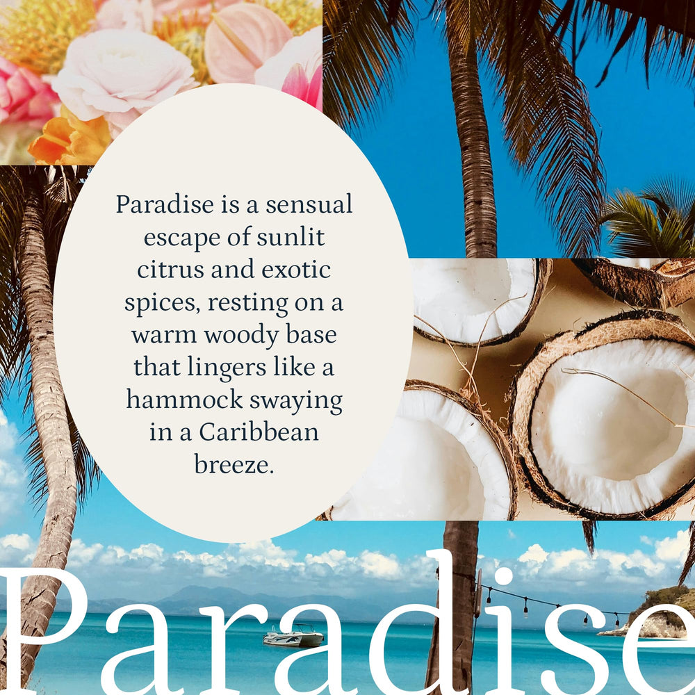 PuroSentido Paradise Tropical diffuser set releasing tropical notes in a living space.