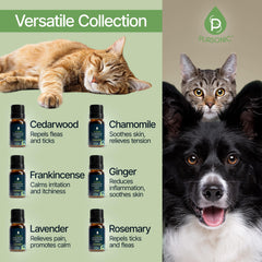 Pursonic Chamomile oil bottle for gentle pet stress relief