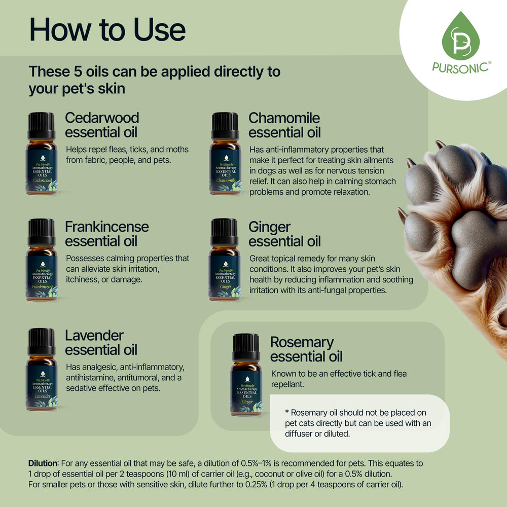 Pursonic Frankincense oil bottle supporting comfort and mindful spaces