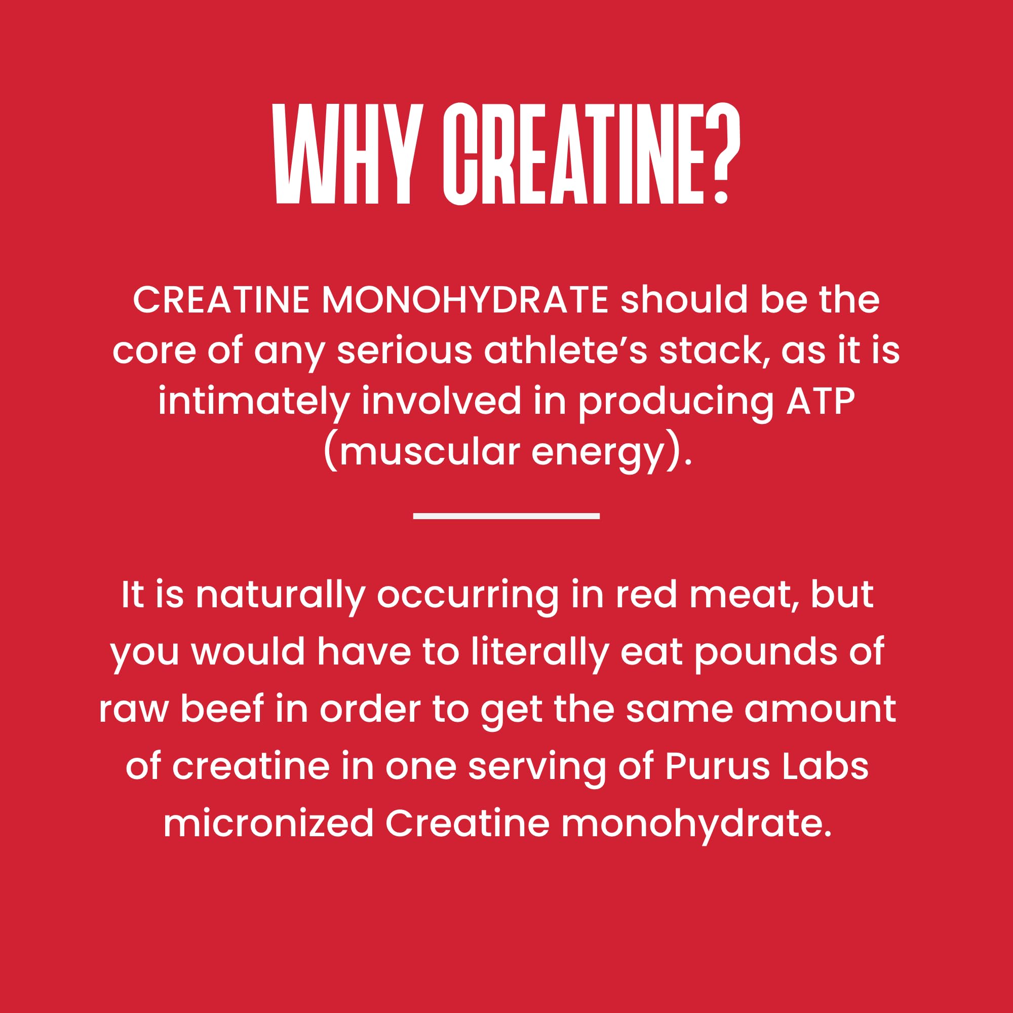Purus Labs Foundation Creatine Powder in shaker for mixing.