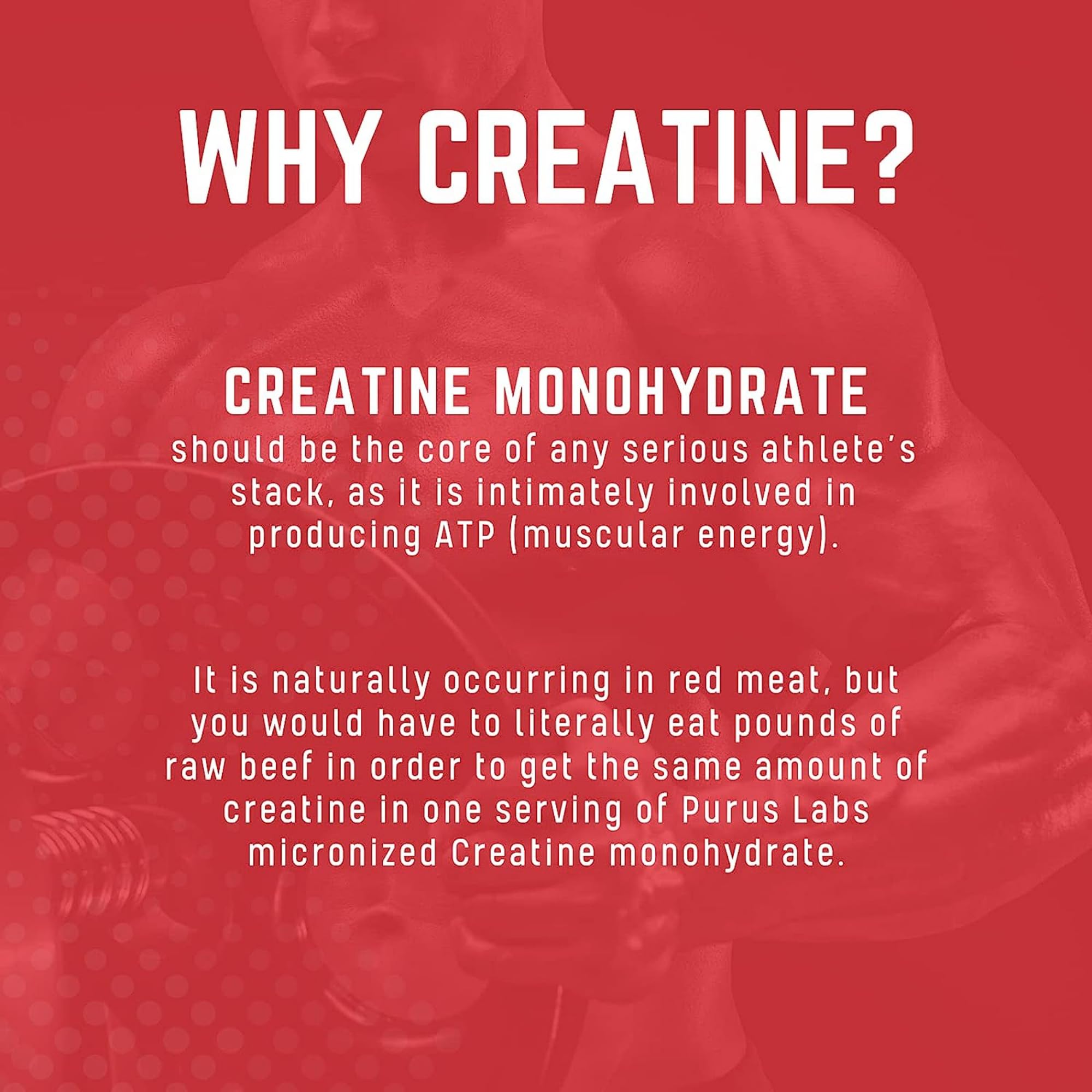 Purus Labs Foundation Creatine Powder ready-to-mix in a glass before training.