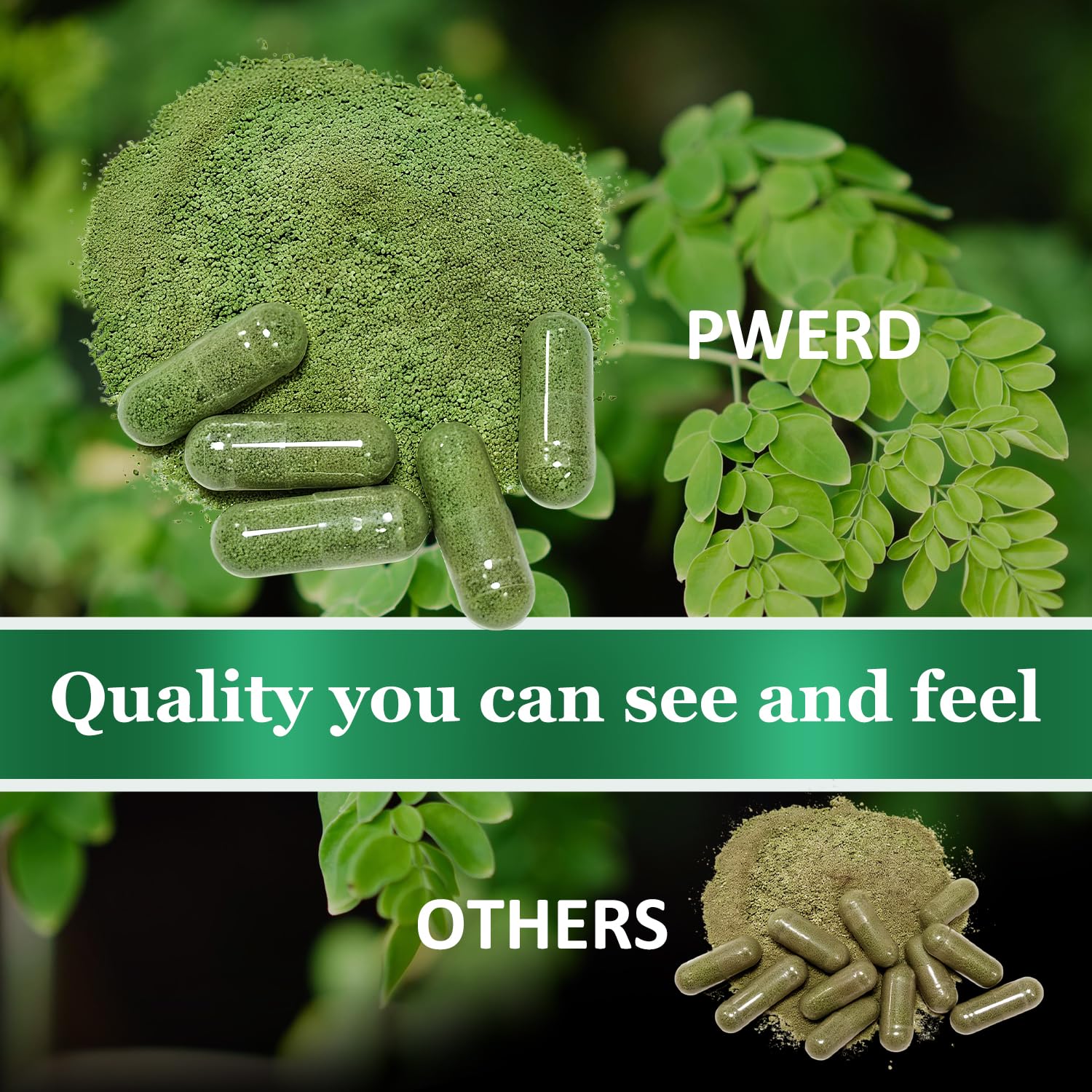 PWERD Moringa vegan-source plant nutrients image