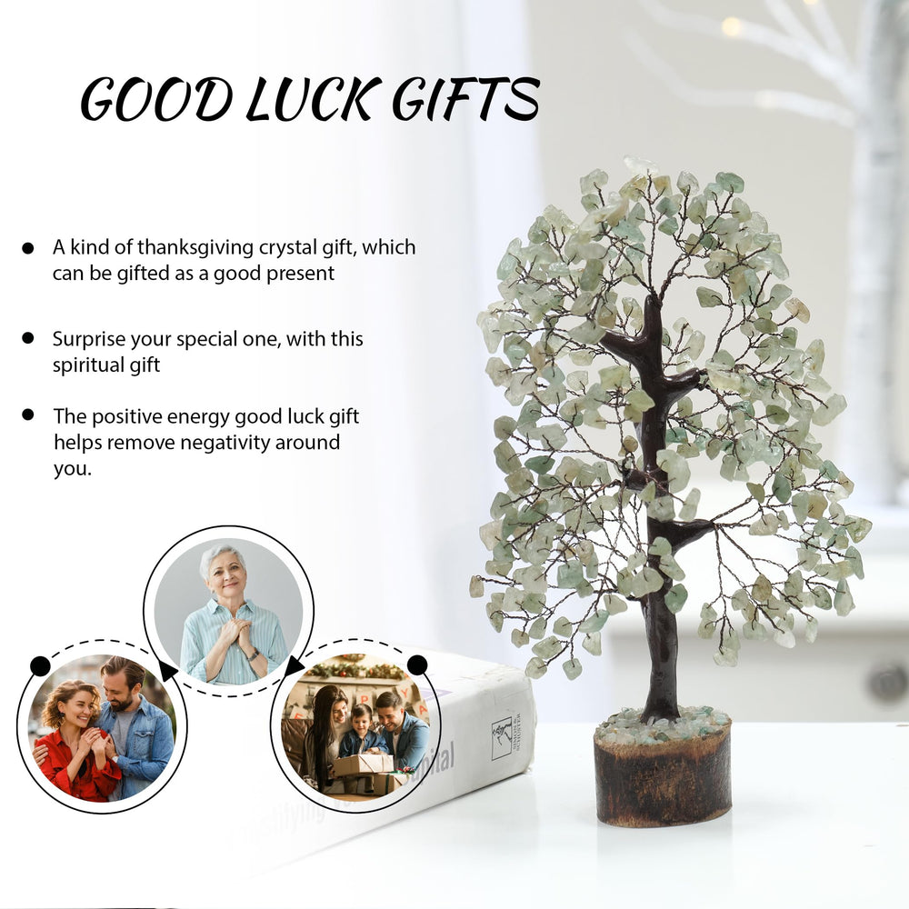 PYOR Feng Shui Green Jade Tree attracts balance, goodwill, and harmonious relationships