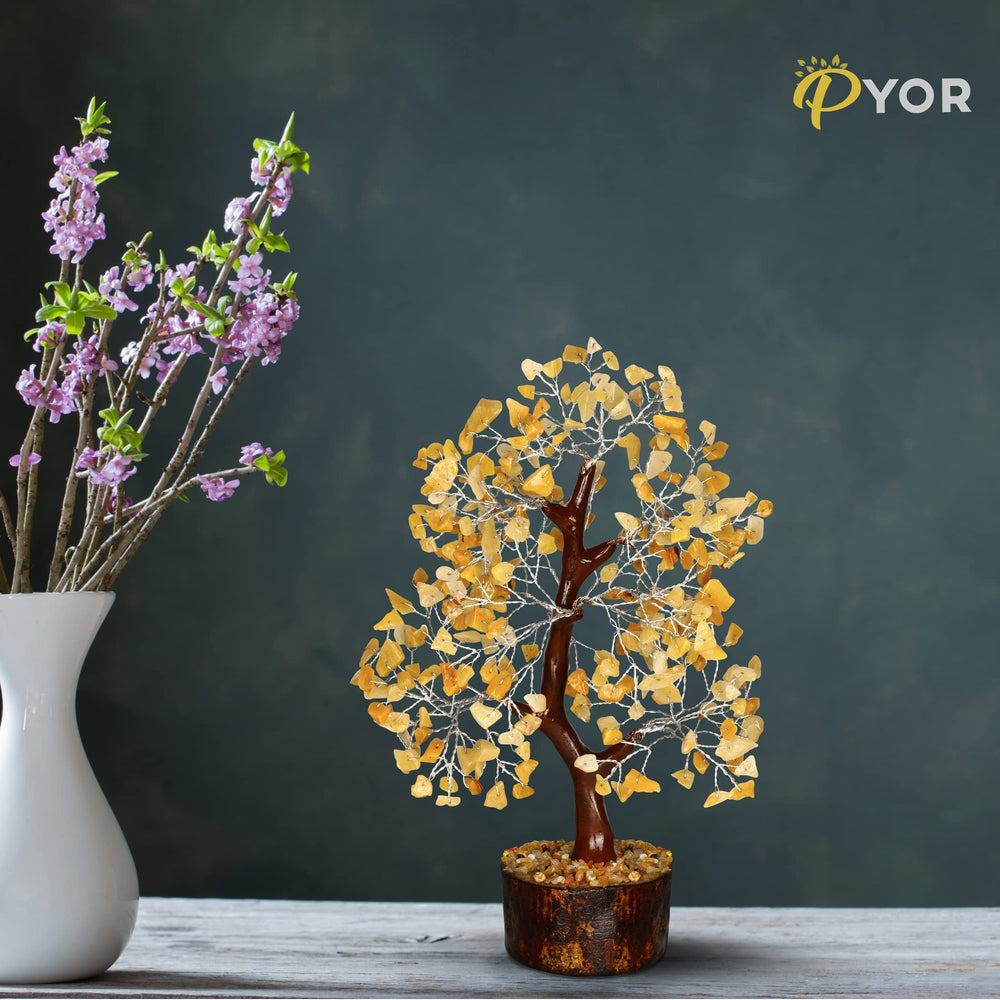 PYOR Meditation crystal tree setup for mindful practice