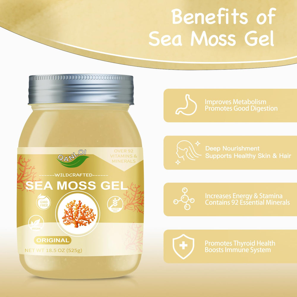 QANLOI Sea Moss Gel jar front highlights premium quality and purity