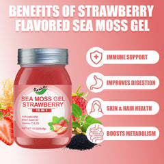 QANLOI sea moss gel strawberry jar closeup highlights natural ingredients and color