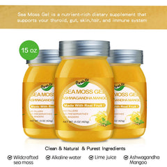 QANLOI Seamoss Gel ingredients jar highlighting natural minerals for wellness