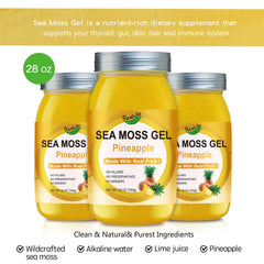 QANLOI Sea Moss Gel highlights minerals including iodine and zinc for daily wellness