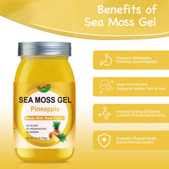 QANLOI Sea Moss Gel close-up shows smooth texture for shakes and desserts
