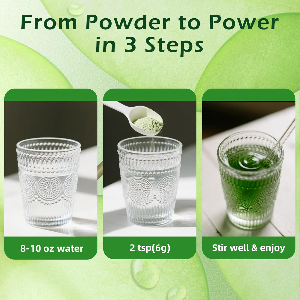 Qin Shan Tang ingredients graphic featuring magnesium glycinate, L-Theanine, Lion's Mane, chlorophyll
