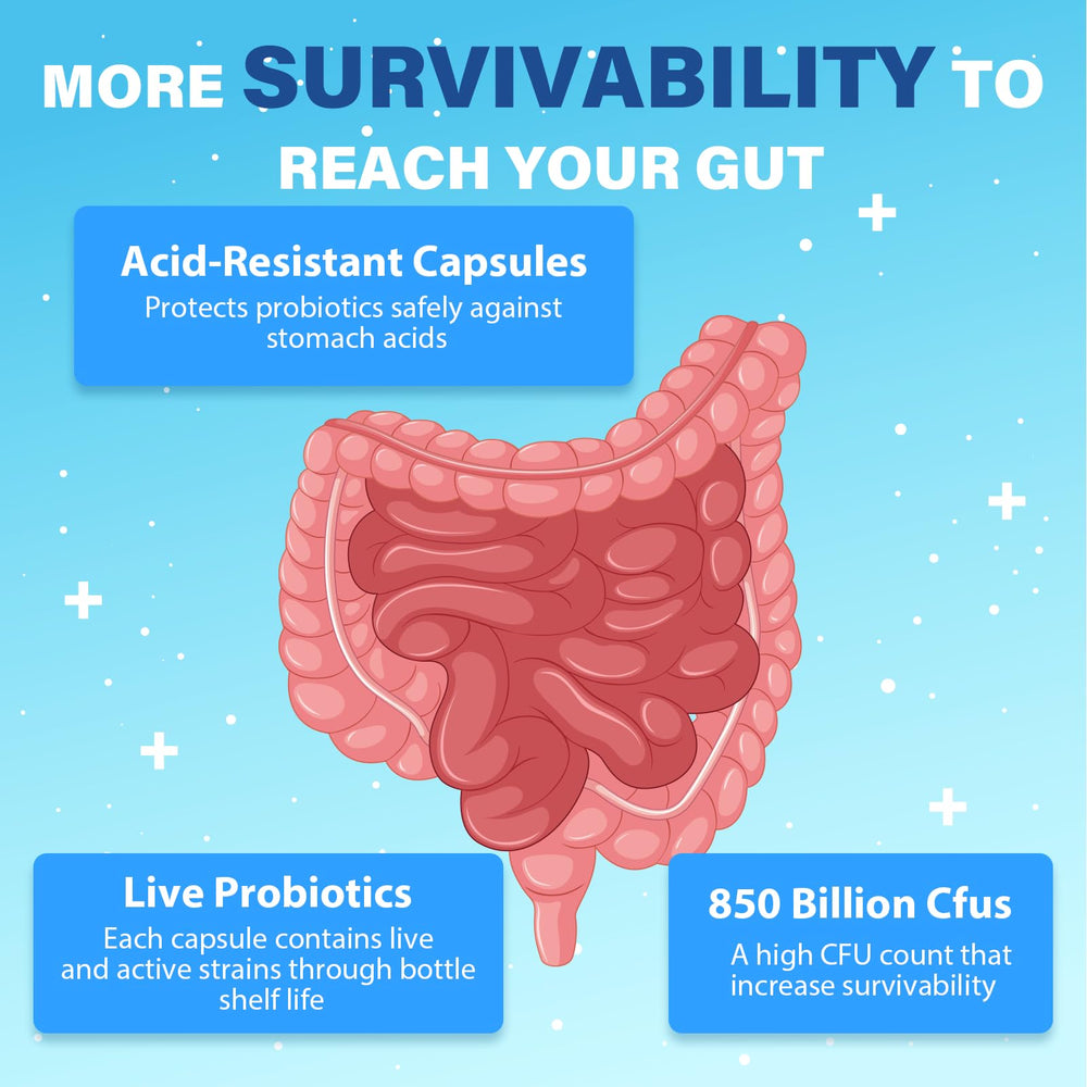 QIVERNAMY Probiotics 50+ bottle with CoQ10 visual hints energy support