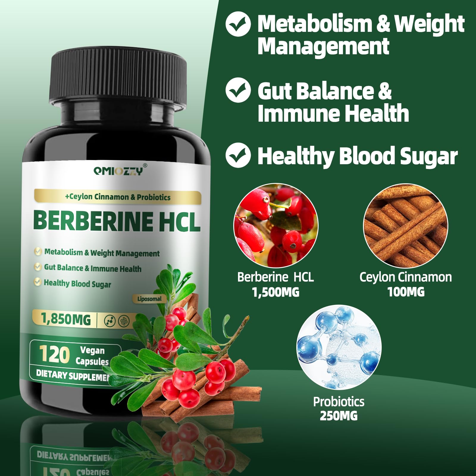 Qmiozzy berberine cinnamon probiotics bottle showing 3-in-1 formula.