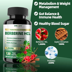 Qmiozzy berberine cinnamon probiotics bottle showing 3-in-1 formula.